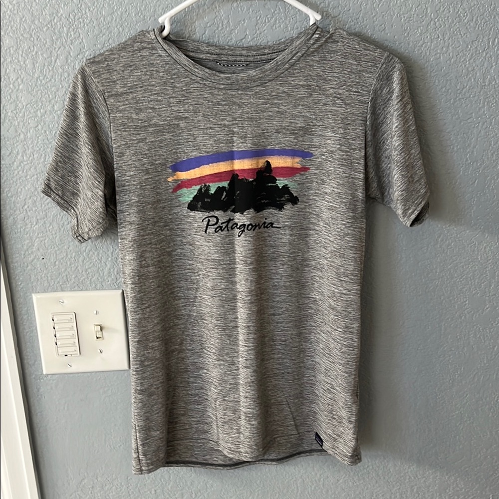 Patagonia Gray Graphic T-Shirt